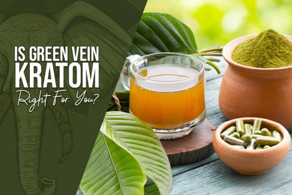 is green vein kratom right for you