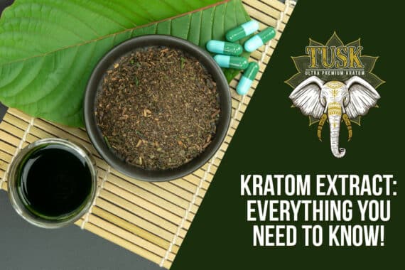 everything you need to know about kratom extract
