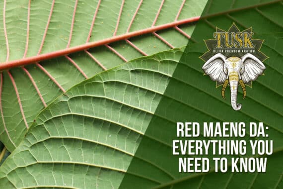 red maeng da - everything you need to know