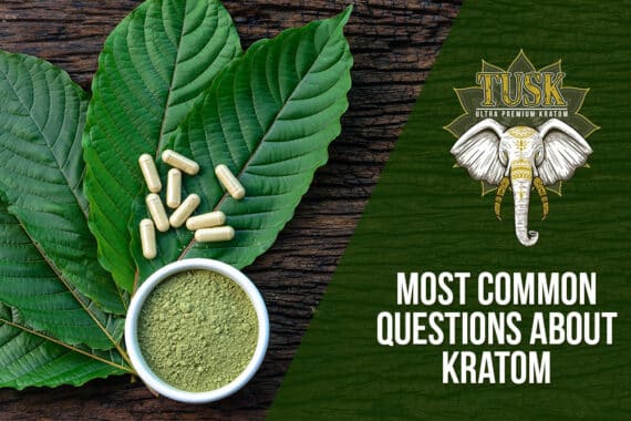 common questions about kratom