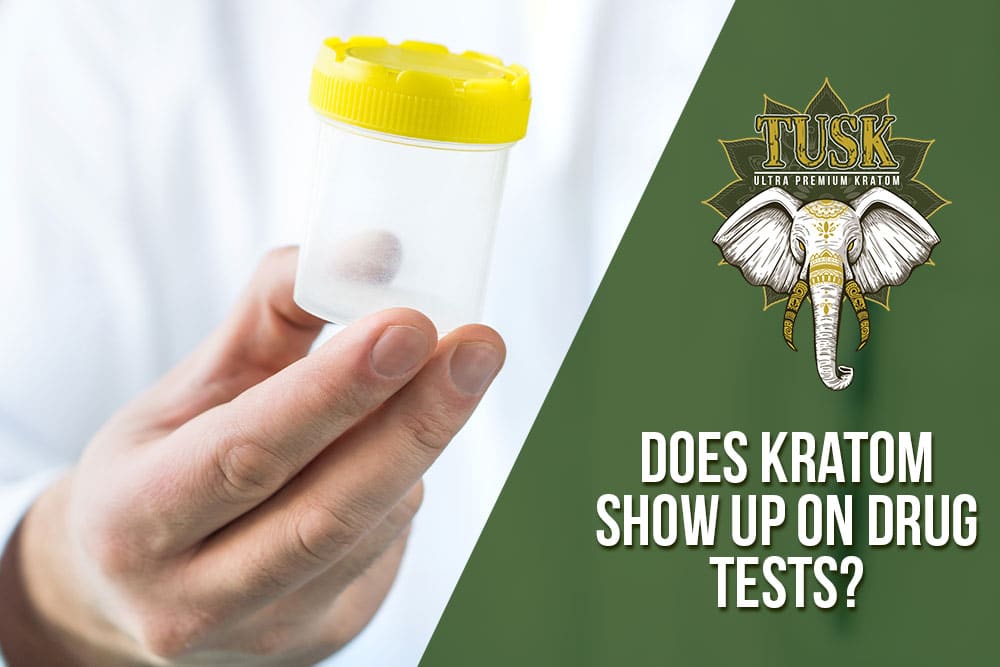 does kratom show up on drug tests?