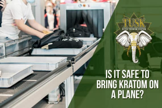 is it safe to bring kratom on a plane
