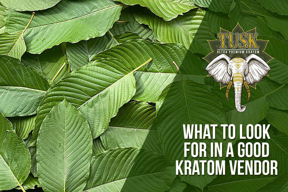 what to look for in a good kratom vendor